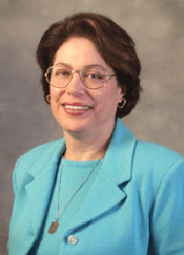 usa.sharia.professor