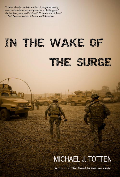 omslag.In-the-Wake-of-the-Surge-Cover