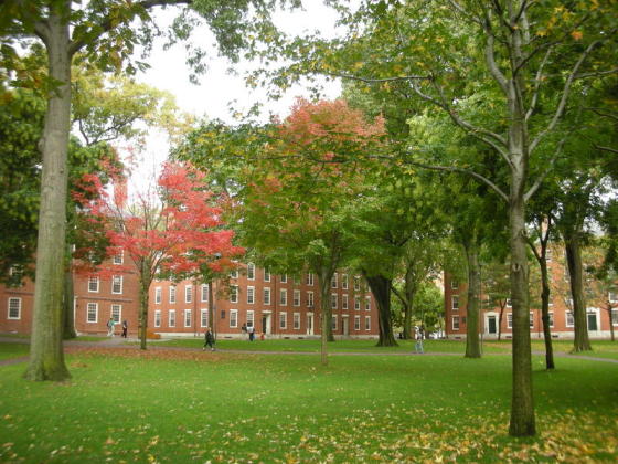 harvard-yard