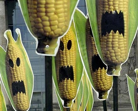 EU-domstolen til felts mot miljøideologi&nbsp;<span>(+)</span>