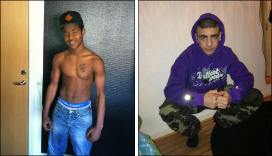 dk.Hundeluftersagen2013