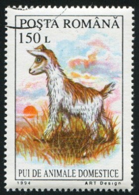 10838632-romania--circa-1994-stamp-printed-by-romania-shows-kid-goat-circa-1994