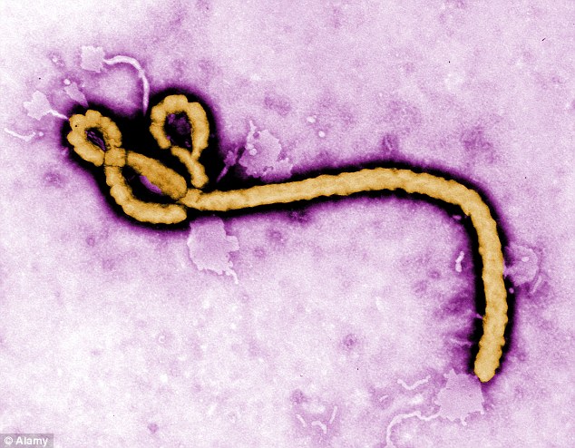 Pasient i Malmö er ikke smittet av ebola&nbsp;<span>(+)</span>