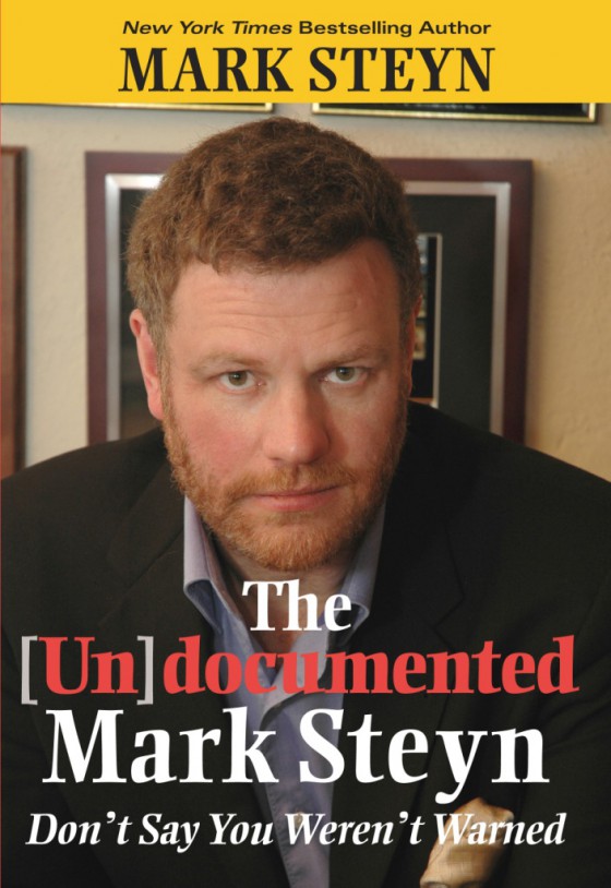 omslag.steyn.undocumented