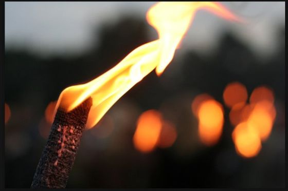 371941-9-1311536637380