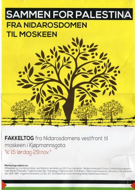 Fakkeltog