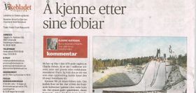 Vikebladet 1