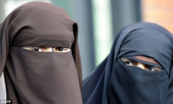 2ACDBBDF00000578-3173304-The_controversial_ban_on_people_covering_their_faces_was_passed_-a-3_1437737732940