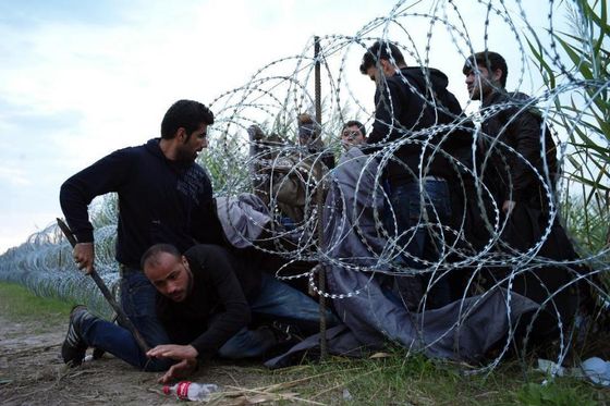 Syrian refugees cross into Hungary underneath the border fence on the Hungarian - Serbian border near Roszke, Hungary on Aug. 26, 2015. The number of refugees entering Hungary has reached a new high as the government hurries to build a 4-meter (13-foot) fence on the Serbian border to stop them. More than 140,000 migrants have reached Hungary on routes across the Balkans so far in 2015. Recently, some 80 percent of them are from war zones like Syria, Iraq and Afghanistan. (AP Photo/Bela Szandelszky)