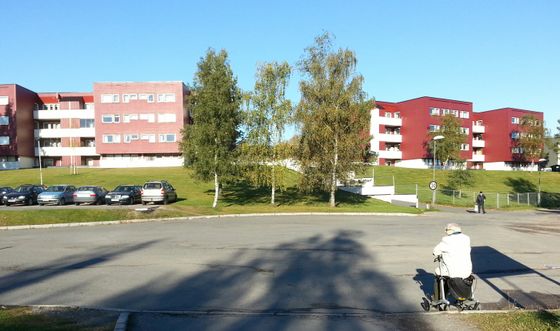 Hva tenker hun om utviklingen?