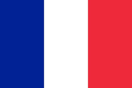french-flag-medium