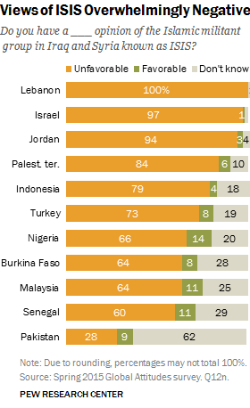 pew-isis-views