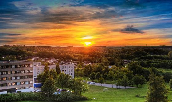 Hundefobi, Grofthojparken Viby Danmark 2016