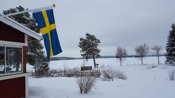 Det svenske flagget henger ute i vinterlandskapet.
