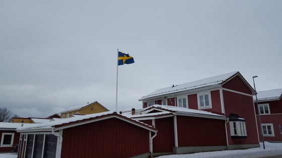 Flagget vaier over de gamle husene i Mora.