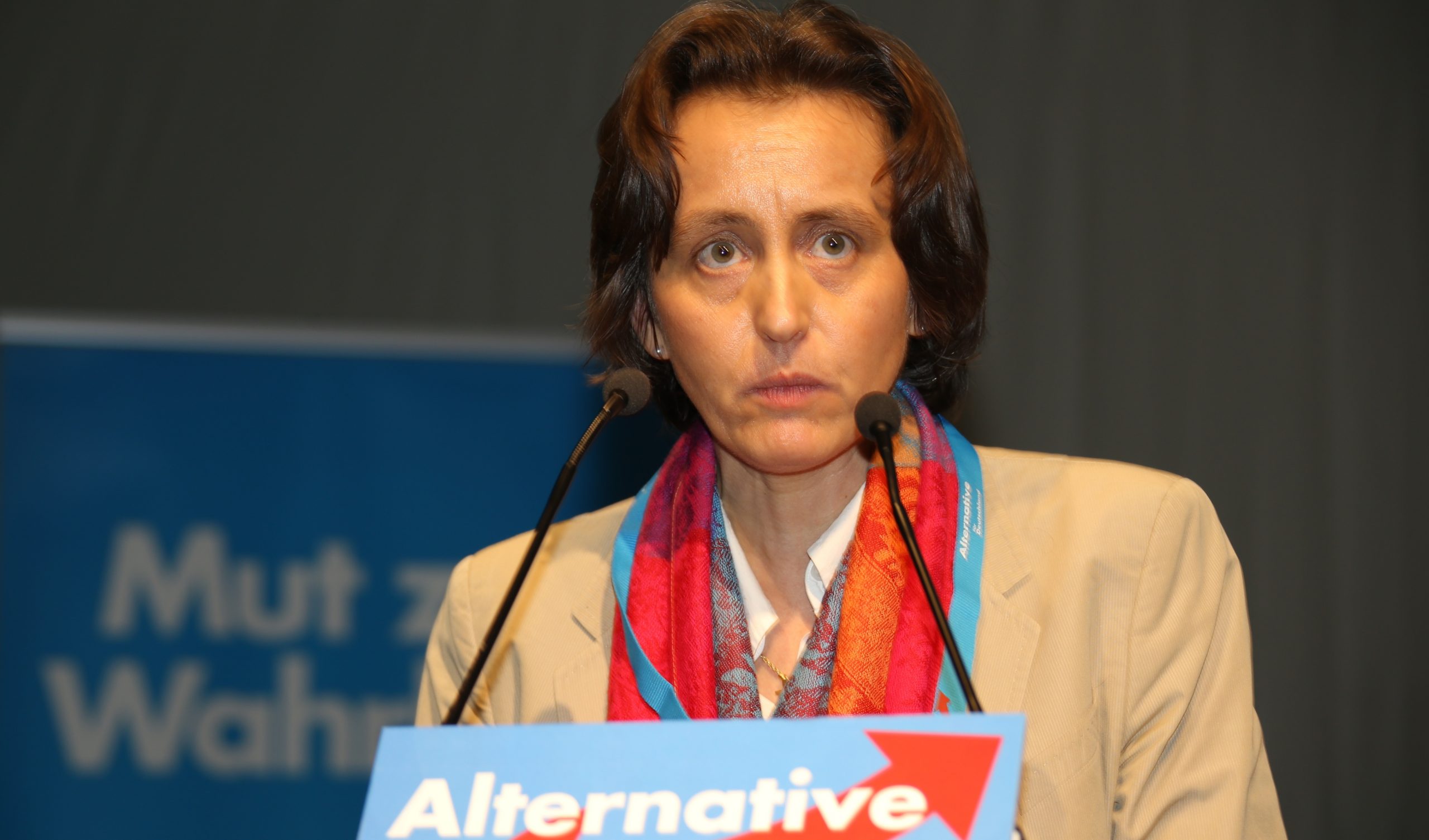 Beatrix von Storch anmeldt for hatkriminalitet på Twitter&nbsp;<span>(+)</span>