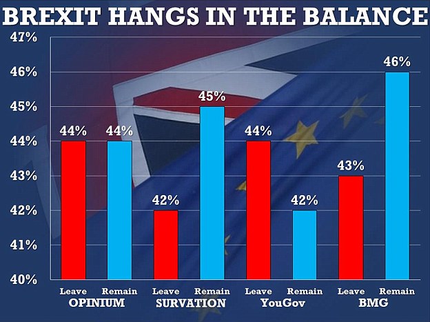 3571D70500000578-0-The_Brexit_vote_is_in_the_balance_with_polls_showing_the_country-a-4_1466358003579