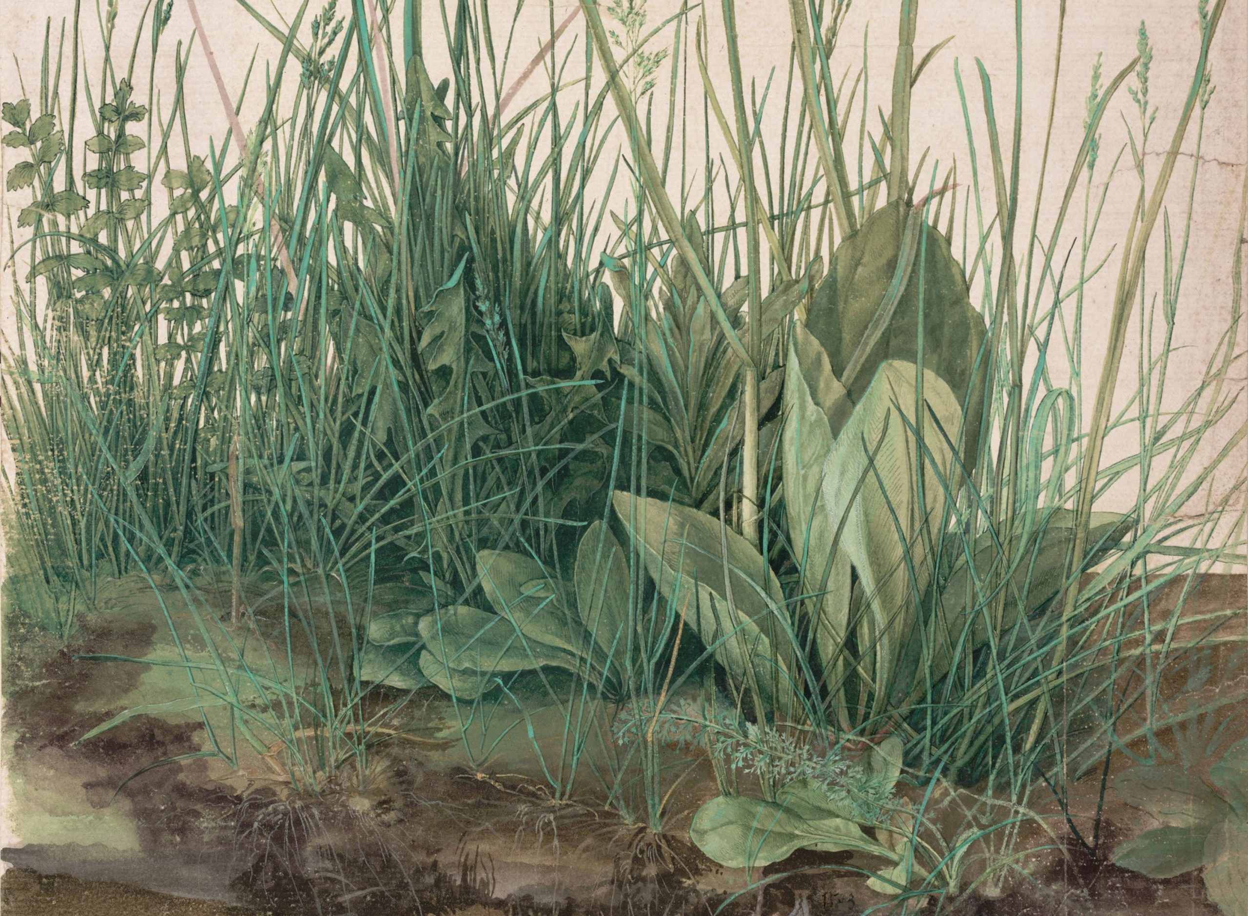 Den store gress-torven (1503)&nbsp;<span>(+)</span>