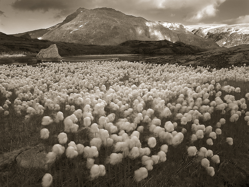 Det mykeste myke&nbsp;<span>(+)</span>