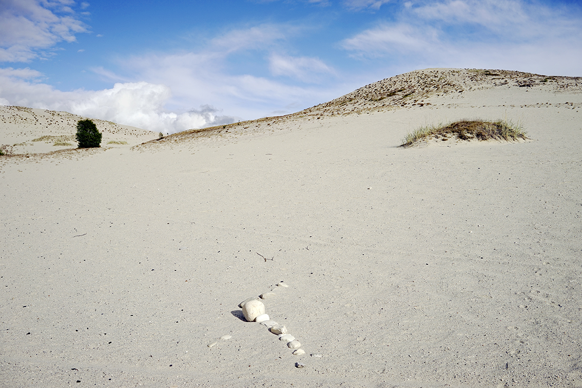 En norsk ørken&nbsp;<span>(+)</span>