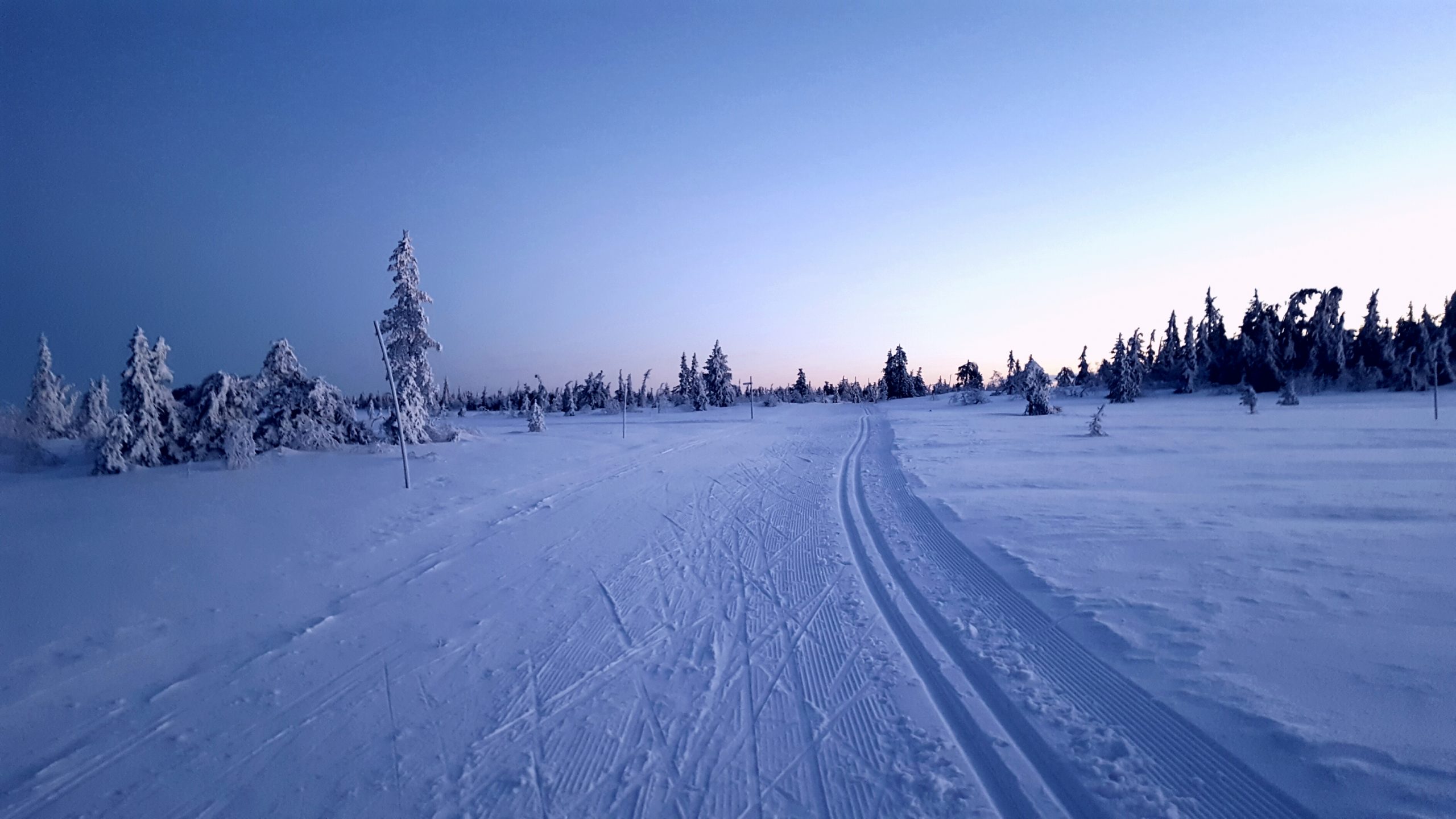 Hvit jul på Hedmarksvidda 2016&nbsp;<span>(+)</span>