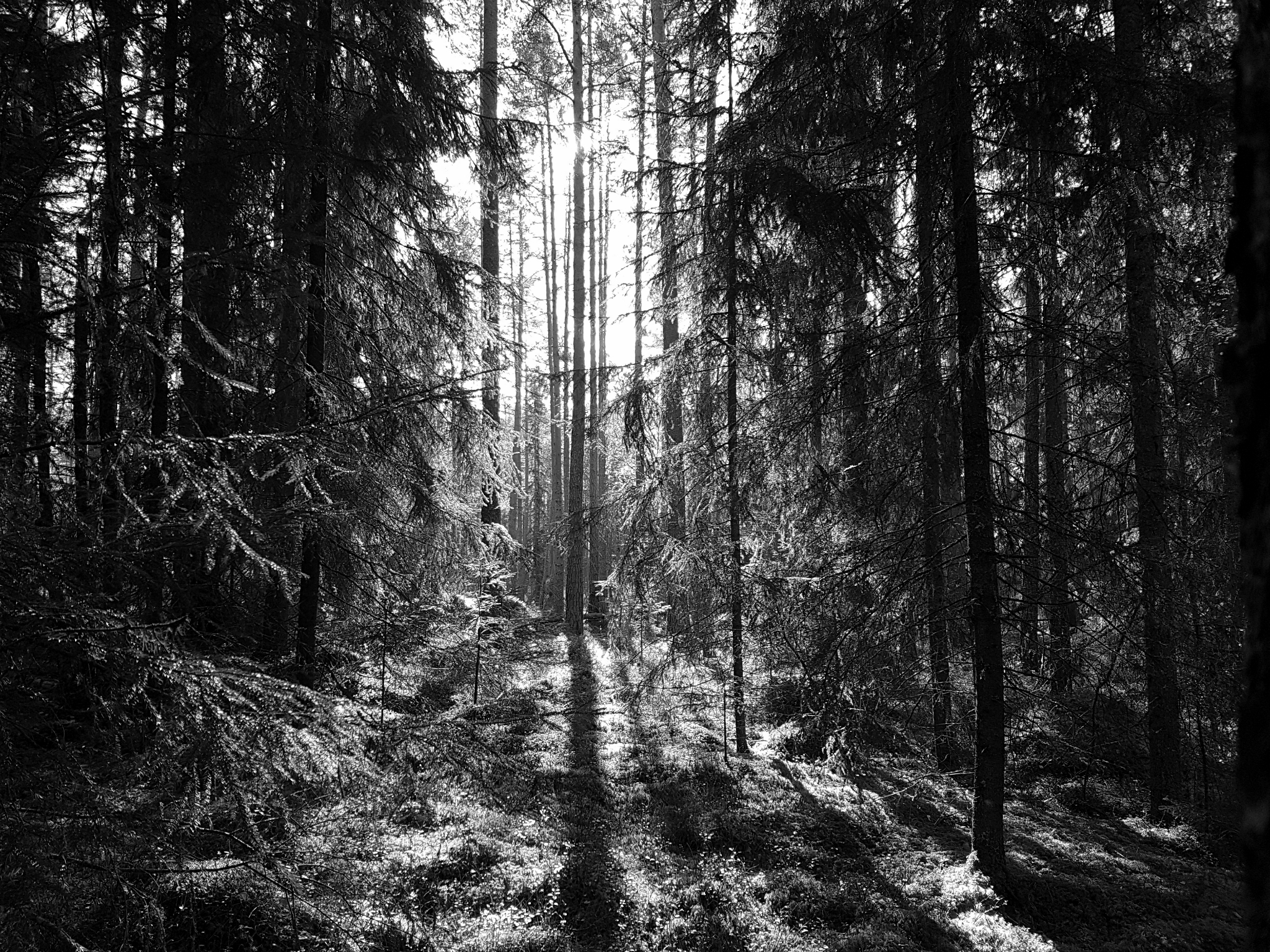 Katedralen (2016)&nbsp;<span>(+)</span>