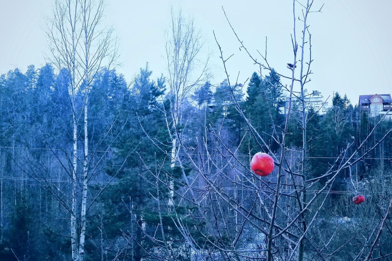 Desemberstemning (2016)&nbsp;<span>(+)</span>