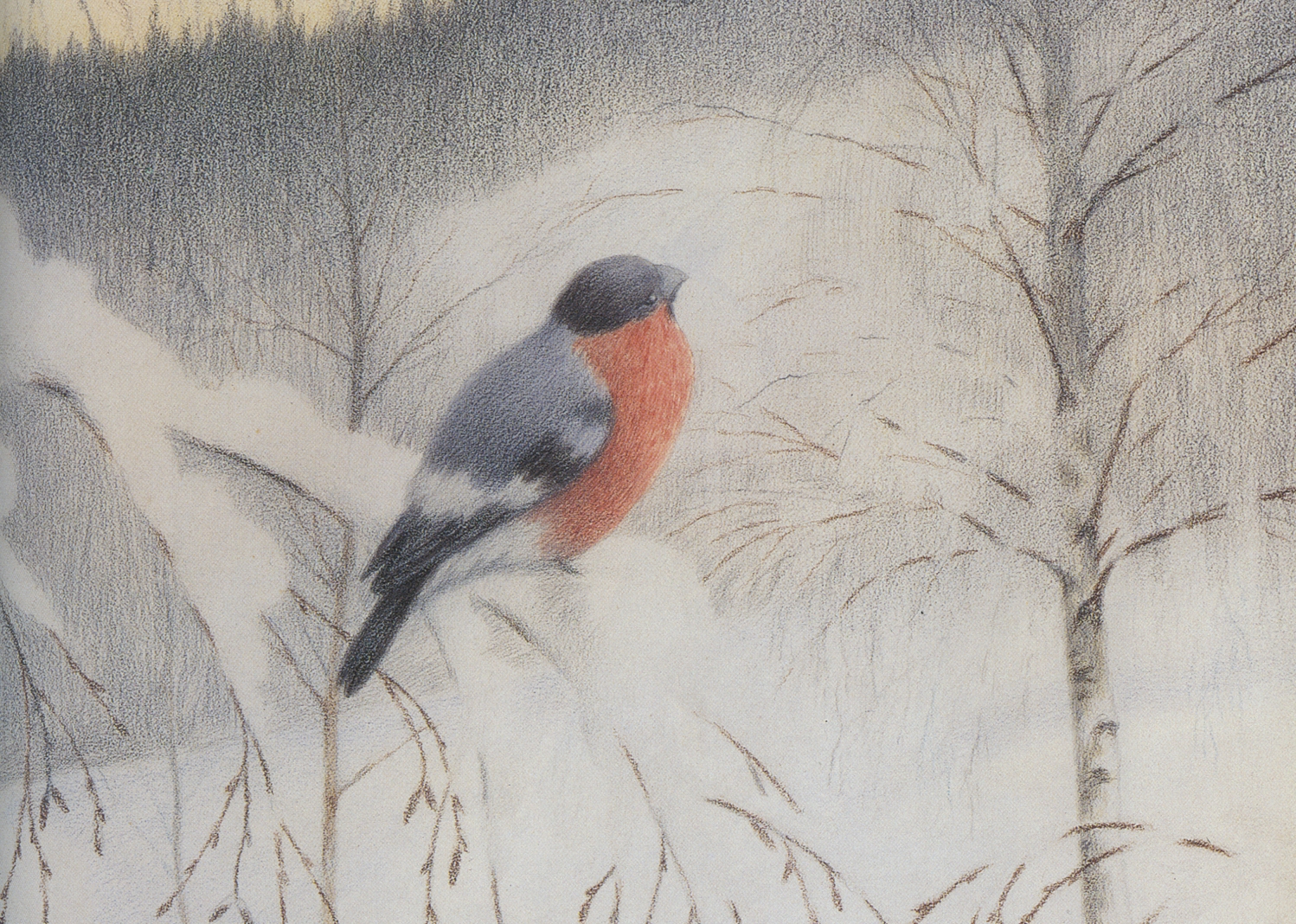 Dompap på rimet kvist - Vintermorgen (1906)&nbsp;<span>(+)</span>