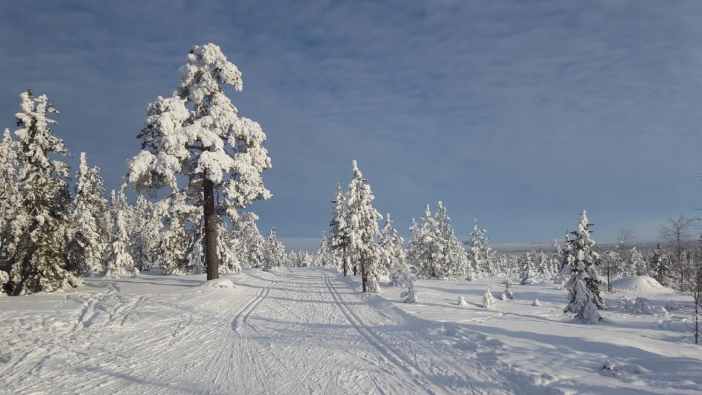 Ved Blåmyrkoia&nbsp;<span>(+)</span>