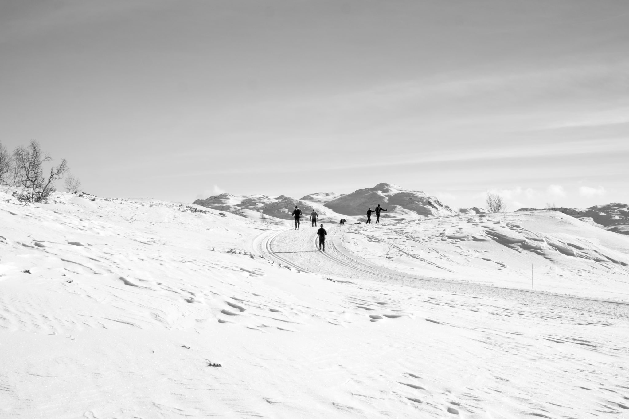 Silkedalen, Rauland, Telemark&nbsp;<span>(+)</span>