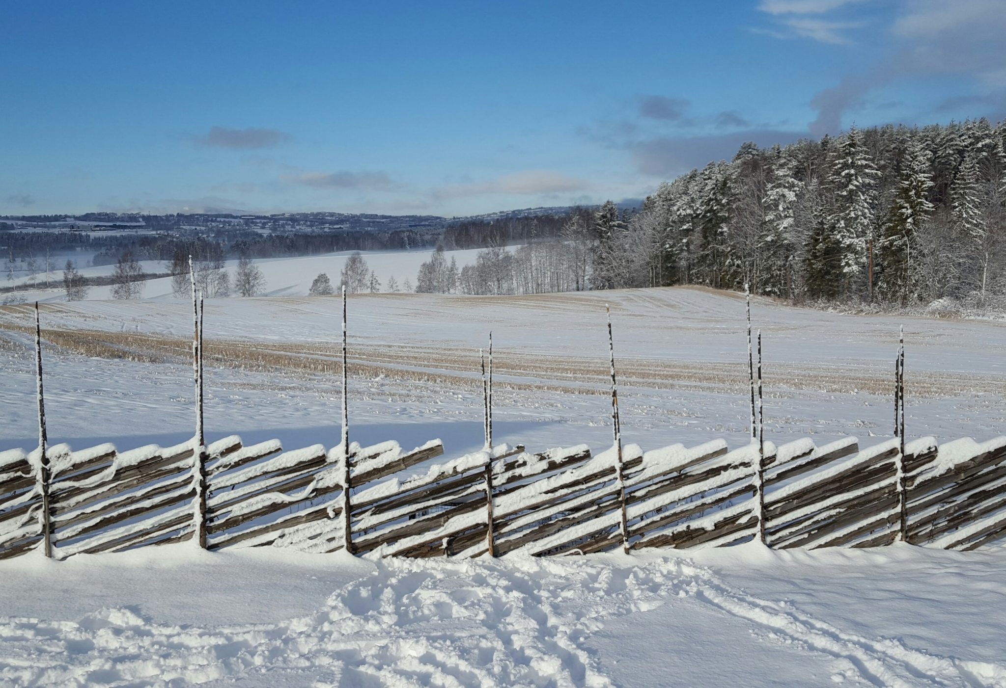 Skigard i vinterskrud&nbsp;<span>(+)</span>