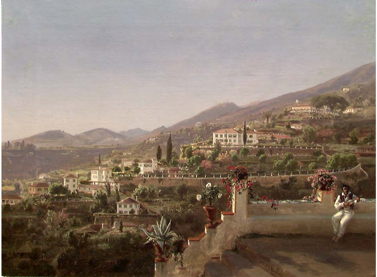 Fra Funchal på Madeira (1854)&nbsp;<span>(+)</span>