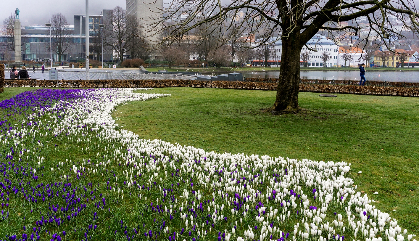 Krokus, Bergen 27. mars&nbsp;<span>(+)</span>