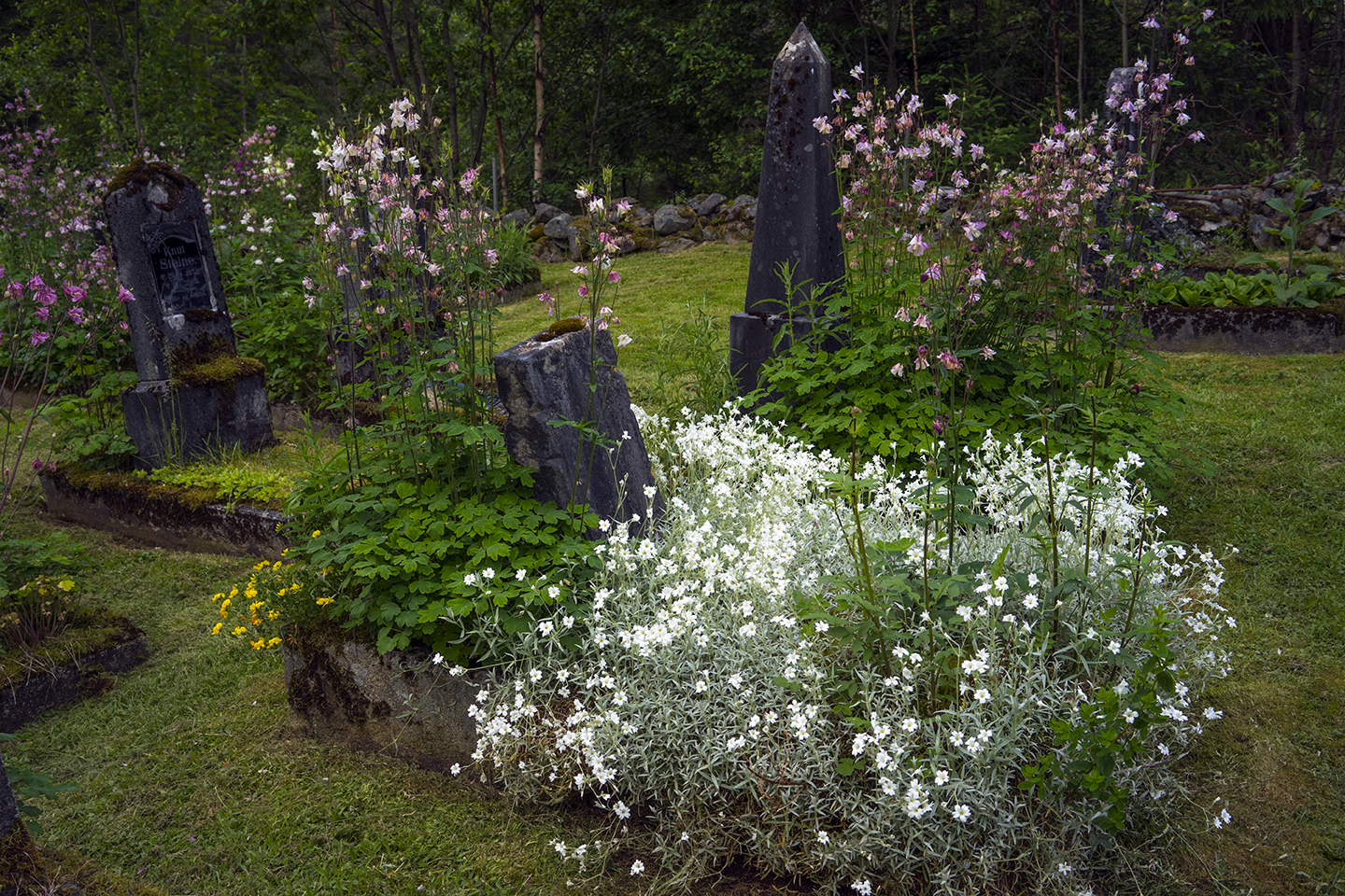 Lev rikere!&nbsp;<span>(+)</span>