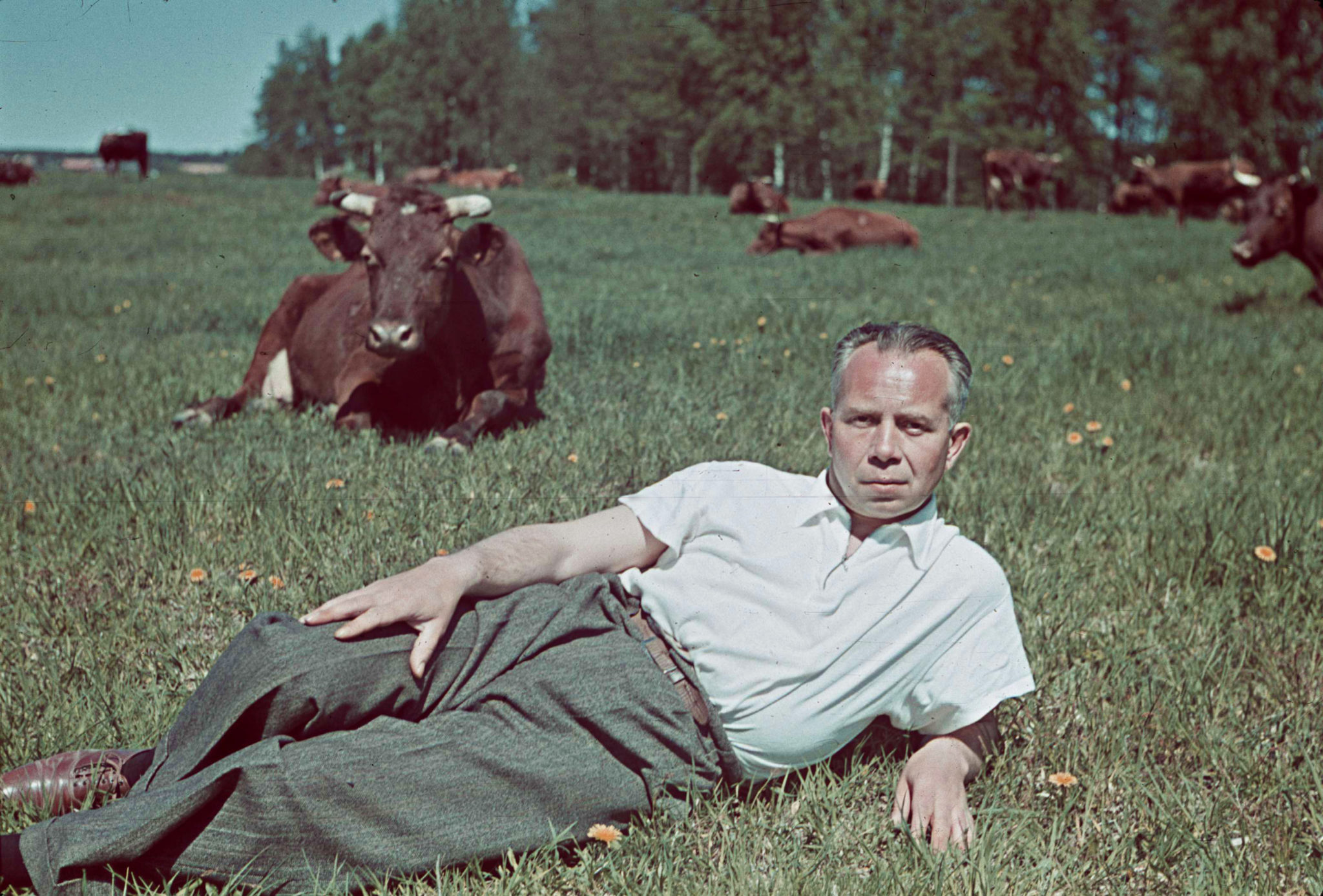 Ropstad har snublet over noe, forstår han hva det er?&nbsp;<span>(+)</span>