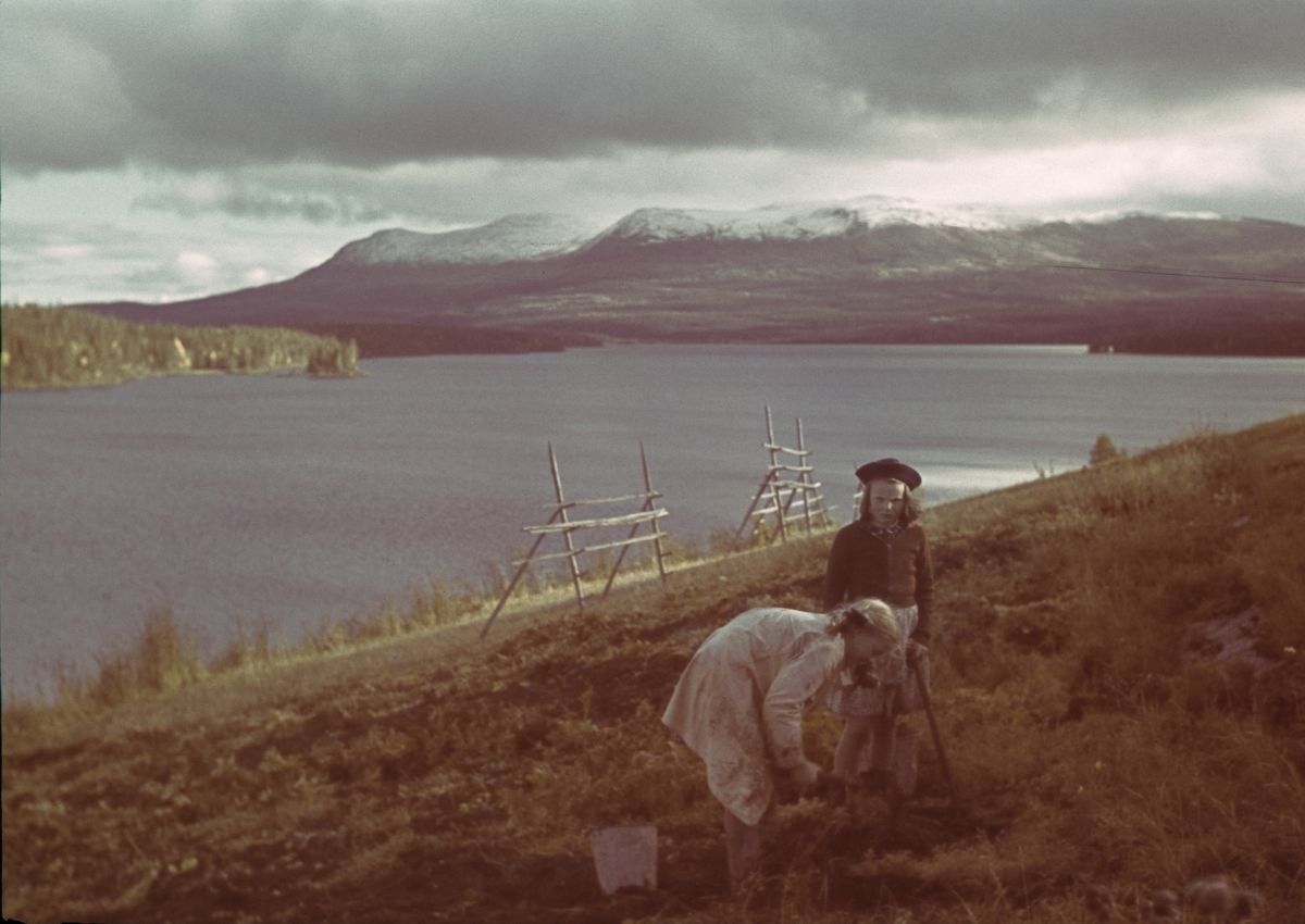 Sällsjön, Jämtland (1943)&nbsp;<span>(+)</span>