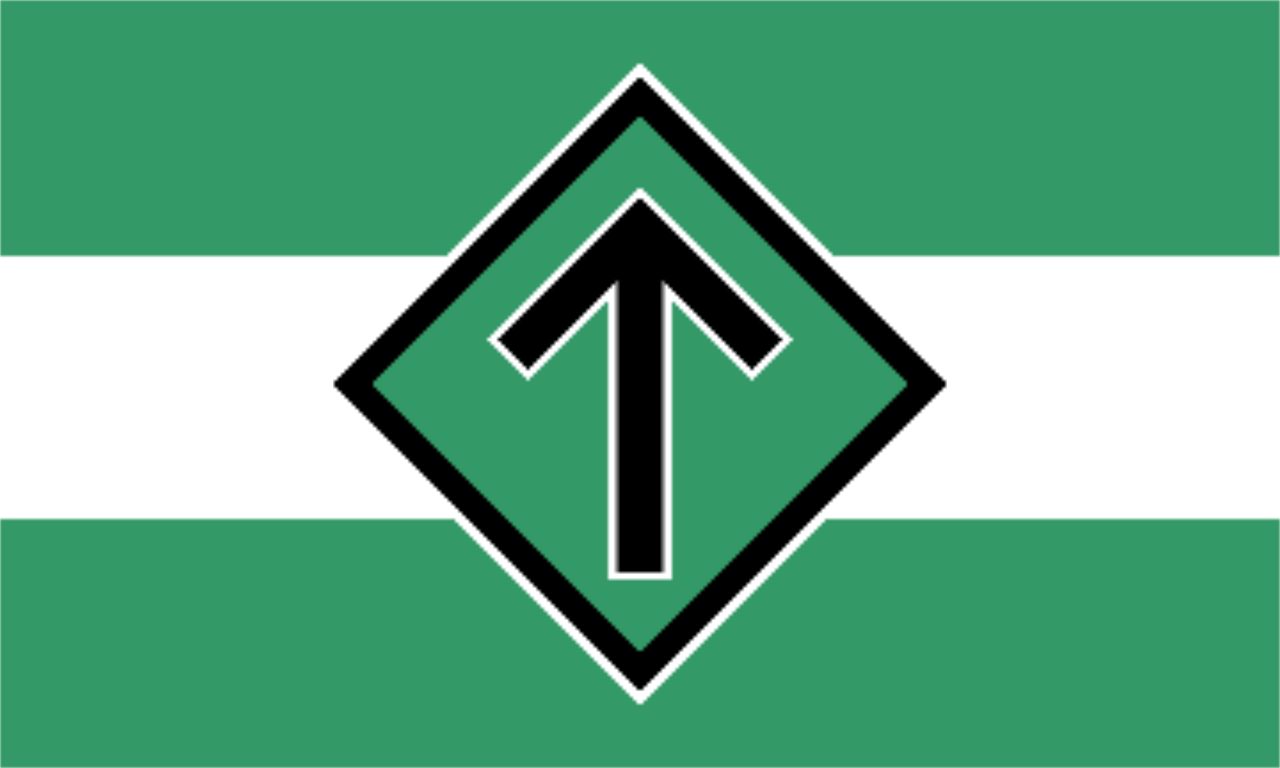 14 høyreekstreme svensker pågrepet på grensen&nbsp;<span>(+)</span>