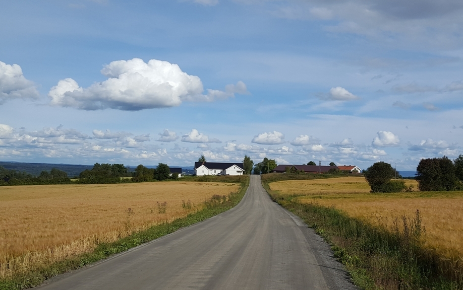 Sensommer i Furnes&nbsp;<span>(+)</span>