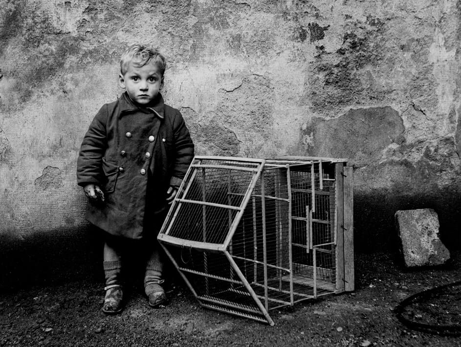 Perpignan (1949)&nbsp;<span>(+)</span>
