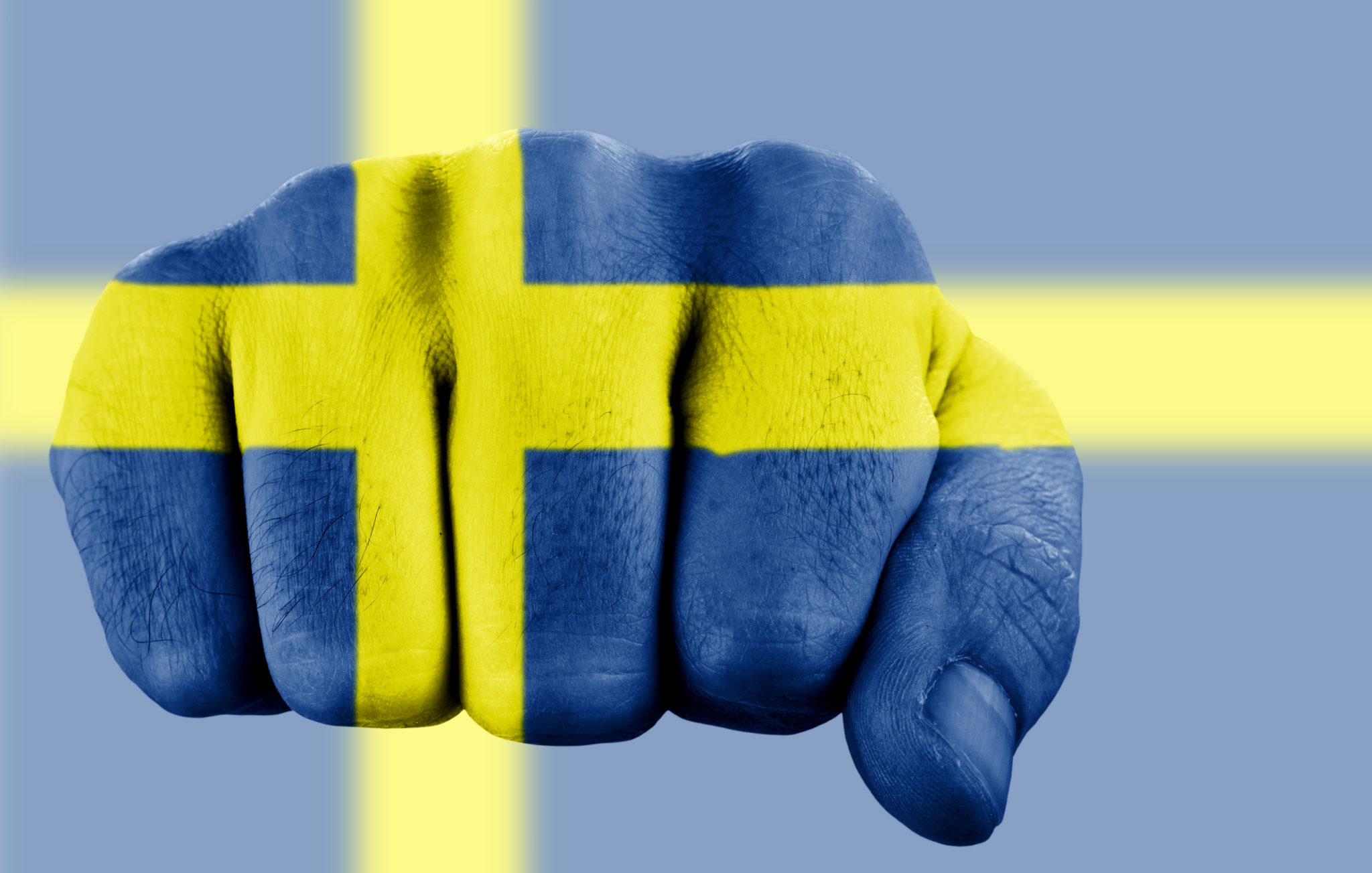 Ruineres av svenske myndigheter for å ha sagt sannheten?&nbsp;<span>(+)</span>