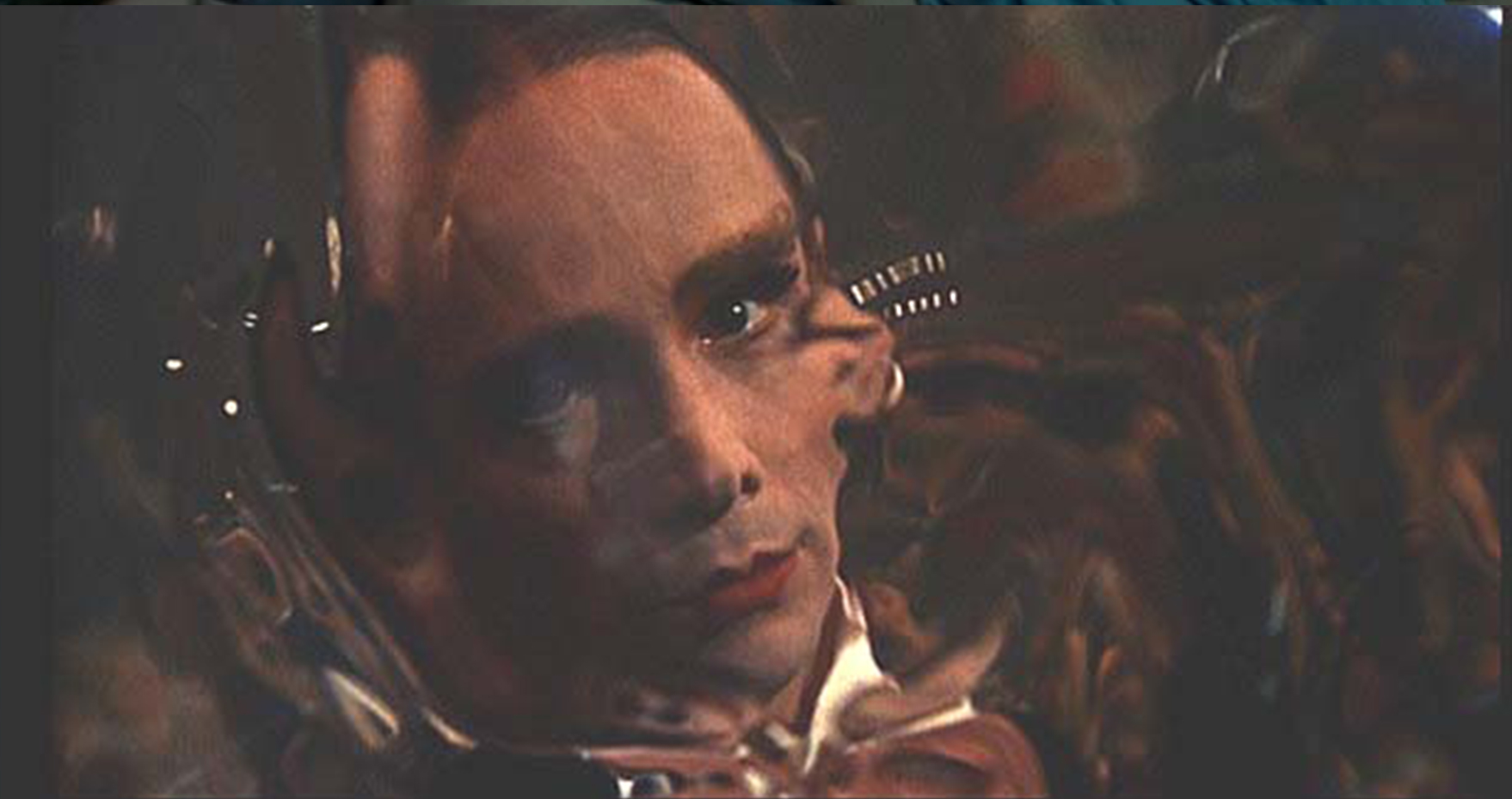 Life is a Cabaret&nbsp;<span>(+)</span>