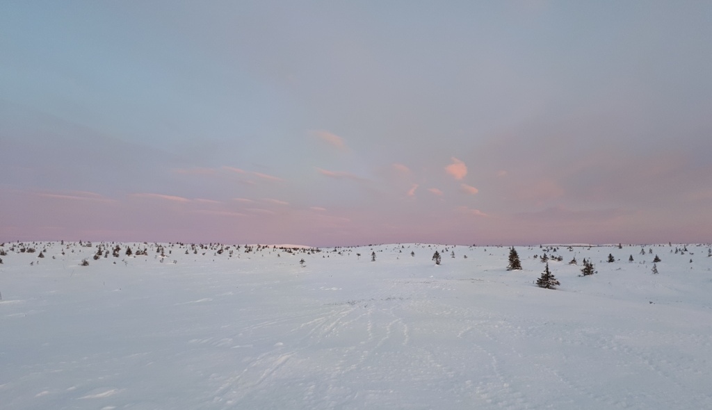 Førjulsmorgen på Raufjellet&nbsp;<span>(+)</span>