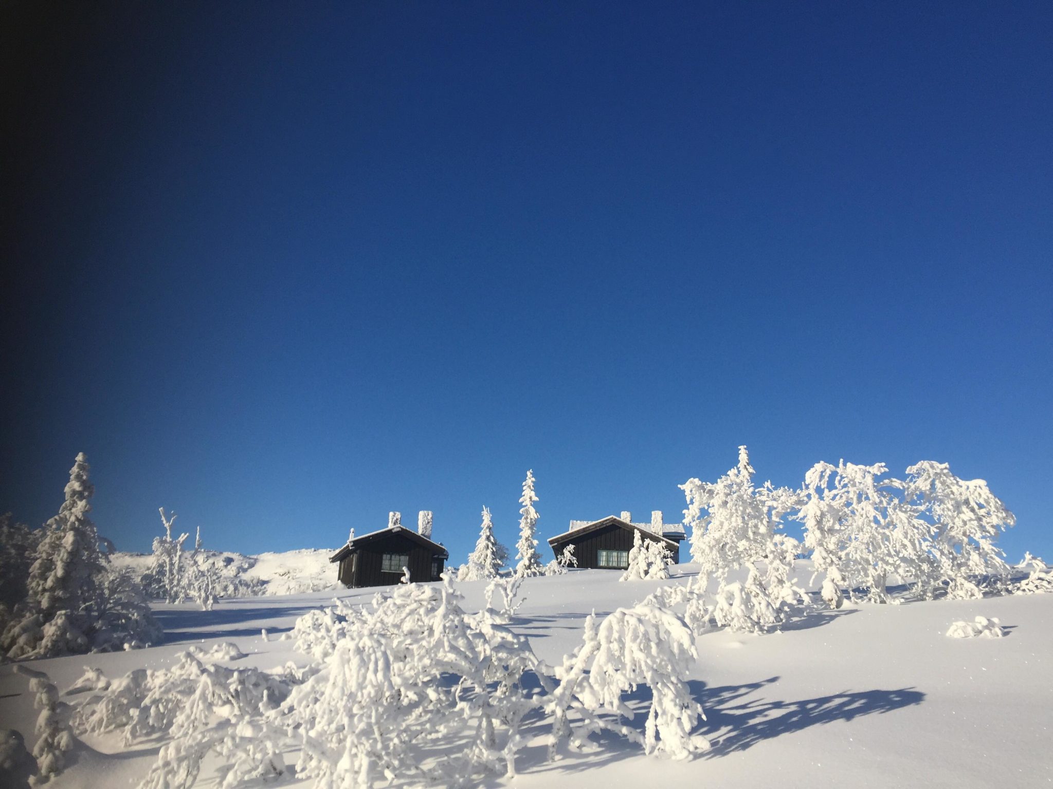 Åtte av ti nordmenn skal ut i naturen i påsken&nbsp;<span>(+)</span>