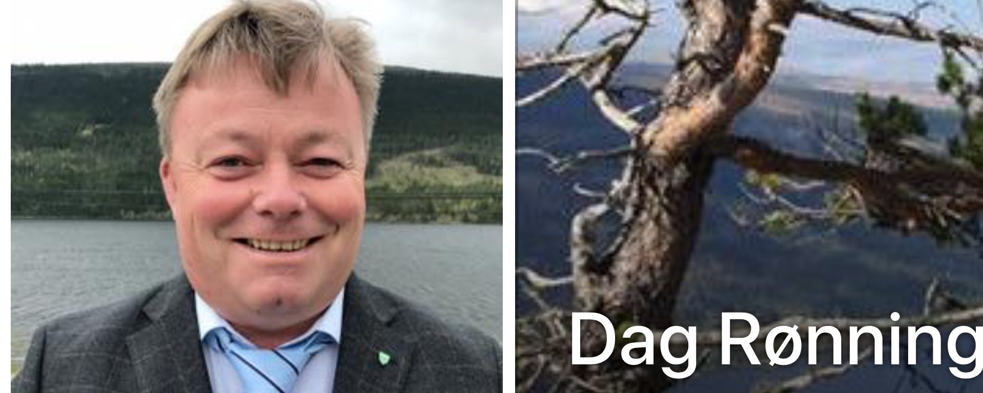 Fylkesordføreren i Hedmark trekker seg etter varsler&nbsp;<span>(+)</span>