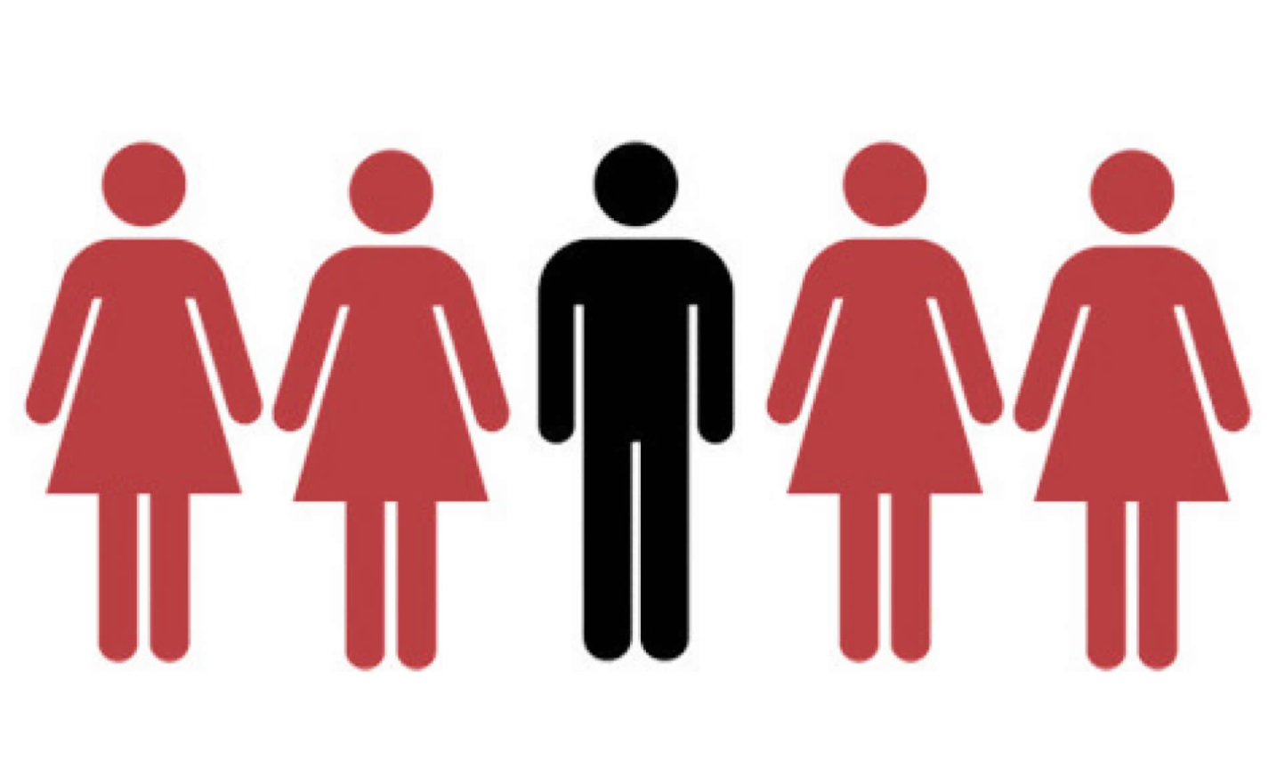 Import av flerkoneri ved familie&shy;gjenforening&nbsp;<span>(+)</span>
