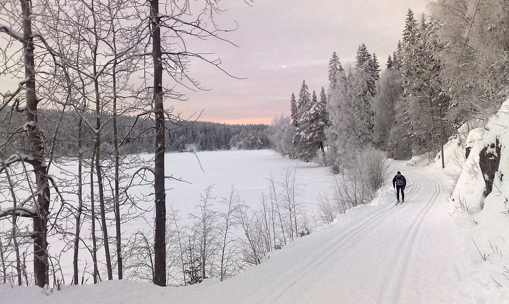 Kvinne forsøkt dratt inn i varebil ved Sognsvann i Oslo&nbsp;<span>(+)</span>