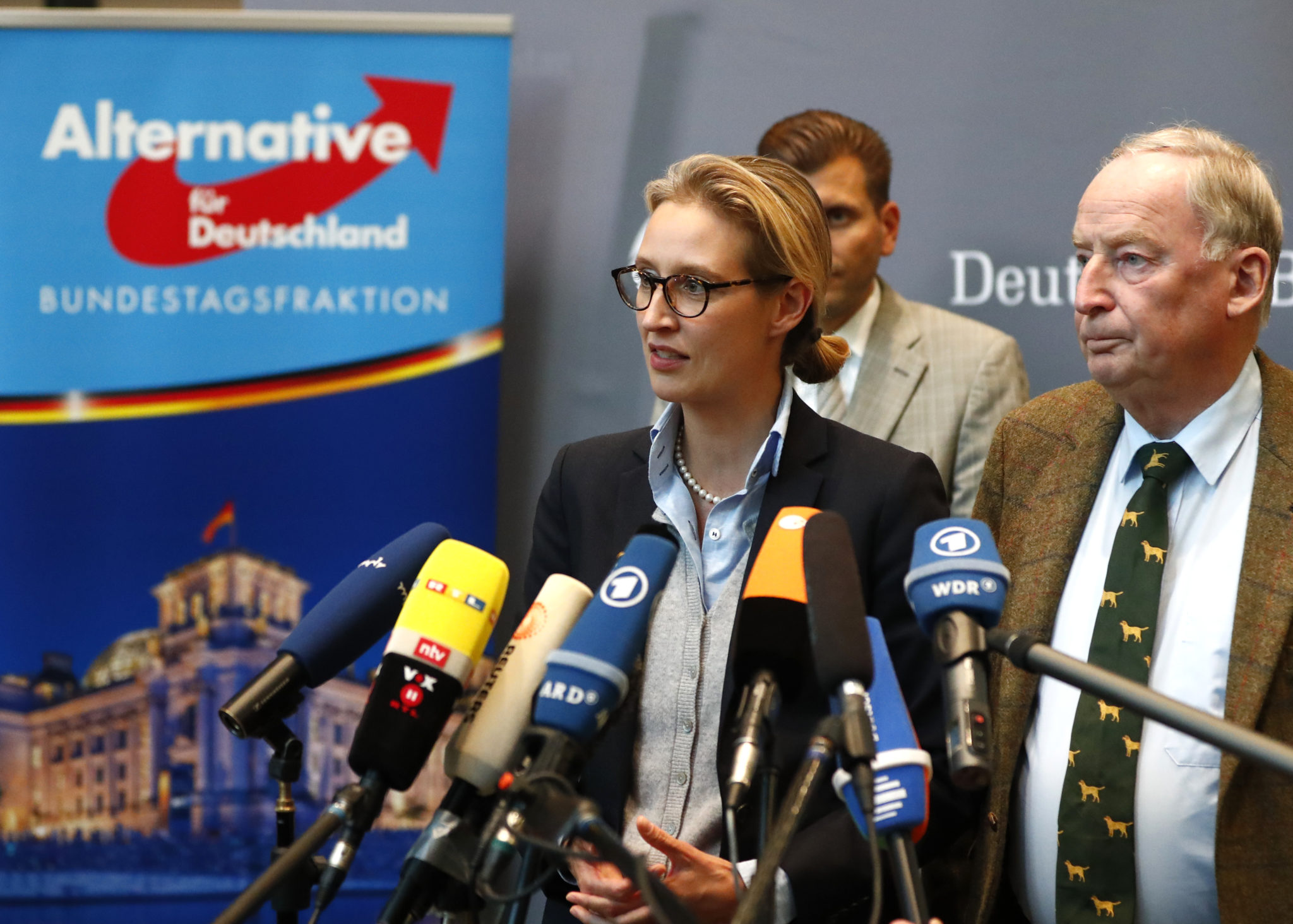 AfD går forbi SPD på fersk meningsmåling&nbsp;<span>(+)</span>
