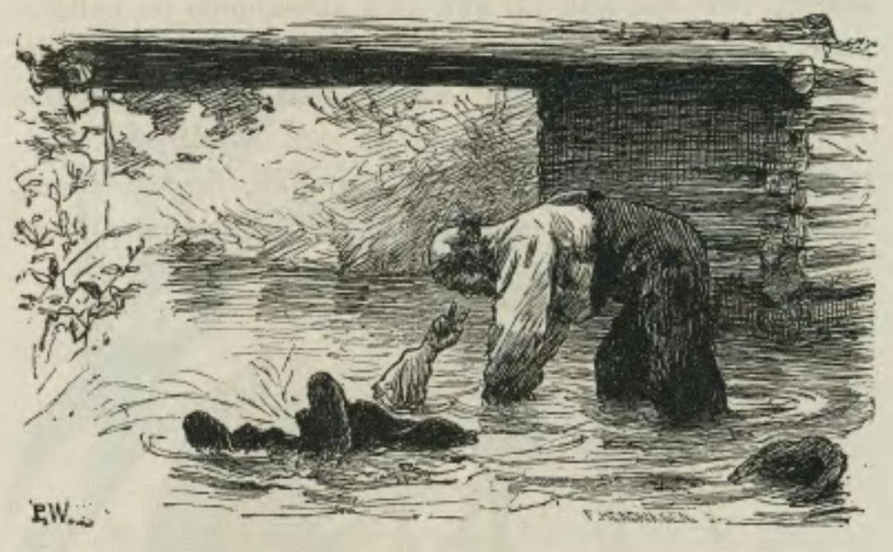 Stormløpet mot Sylvi&nbsp;<span>(+)</span>