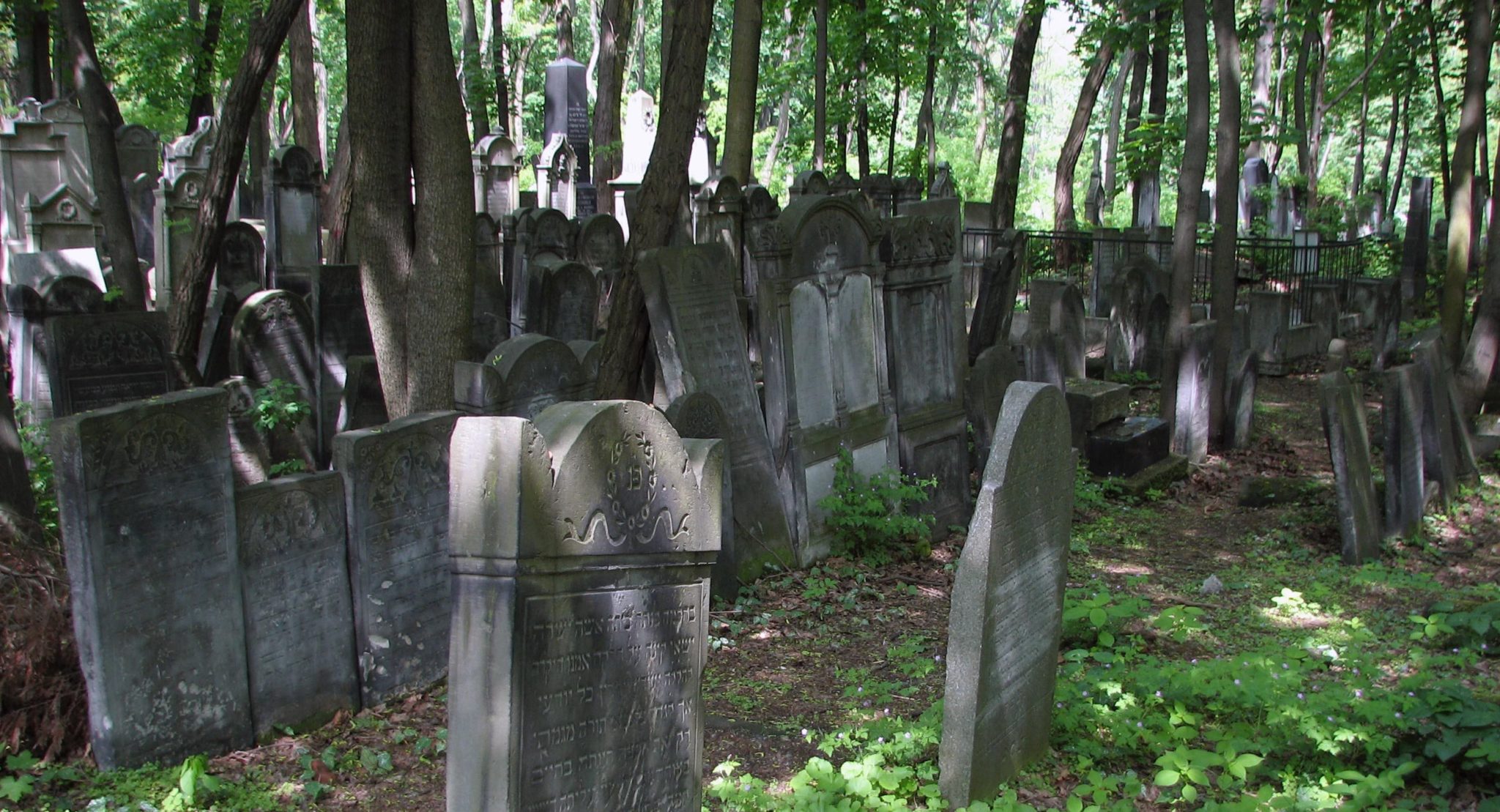 Den jødiske gravlund i Wola, Warszawa (grunnlagt 1806)&nbsp;<span>(+)</span>