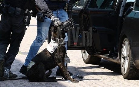 Allahu akbar i Nederland, 26-årig syrer dreper politihund&nbsp;<span>(+)</span>